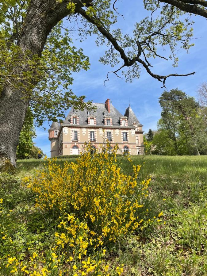 Chateau De Praslins Nogent-sur-Vernisson Ngoại thất bức ảnh
