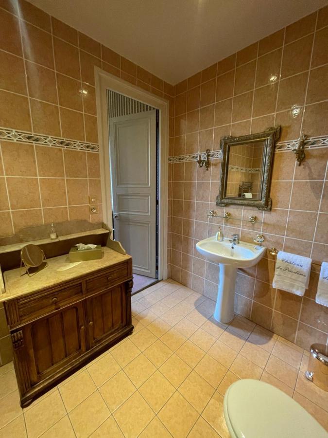 Chateau De Praslins Nogent-sur-Vernisson Ngoại thất bức ảnh