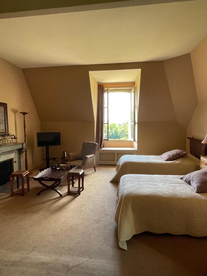 Chateau De Praslins Nogent-sur-Vernisson Ngoại thất bức ảnh